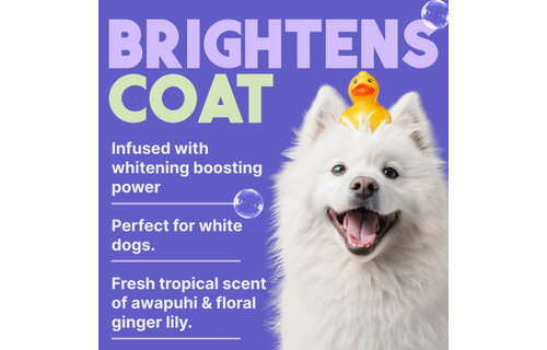 TropiClean Awapuhi & Coconut Shampoo 20 oz