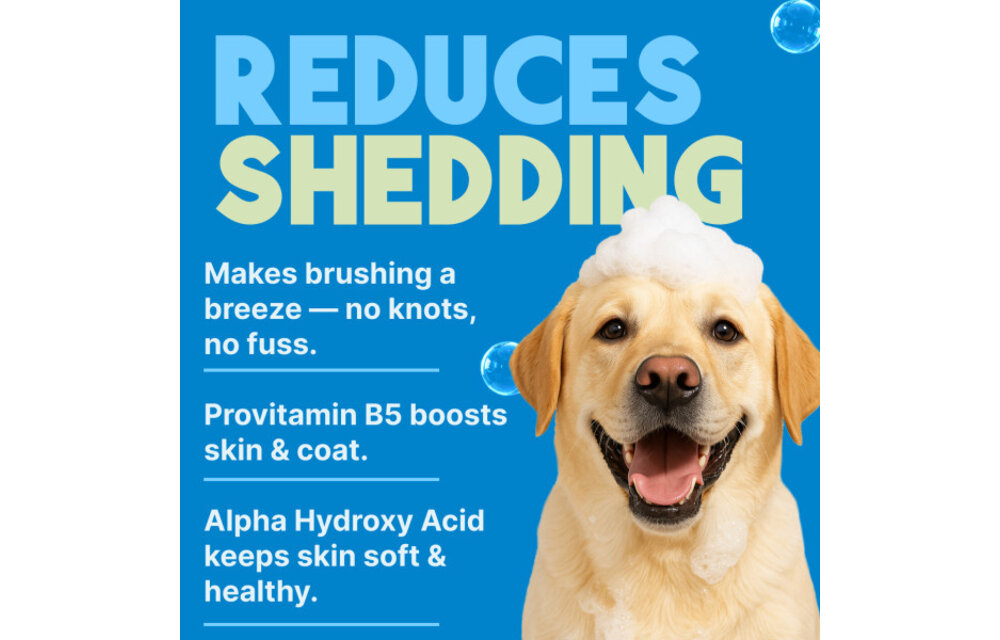 TropiClean Lime & Coconut Shampoo 20 oz