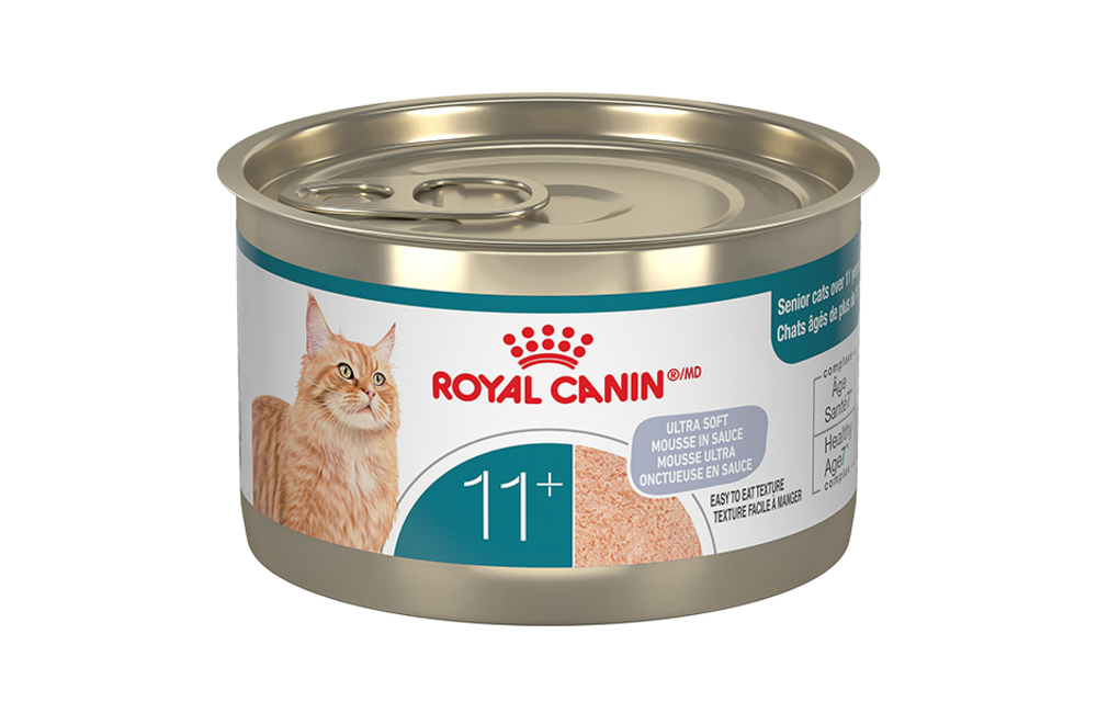 Royal Canin FHN Aging 12+ Loaf Cat 145 g