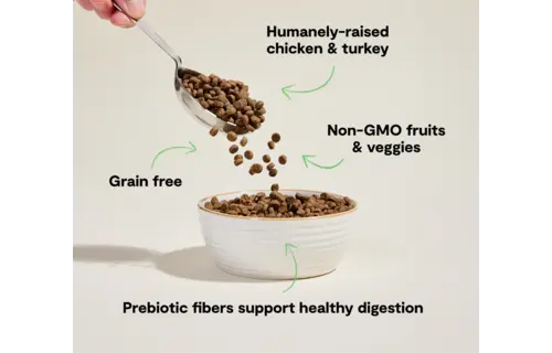 Open Farm Cat Homestead Turkey & Chicken 4 lb