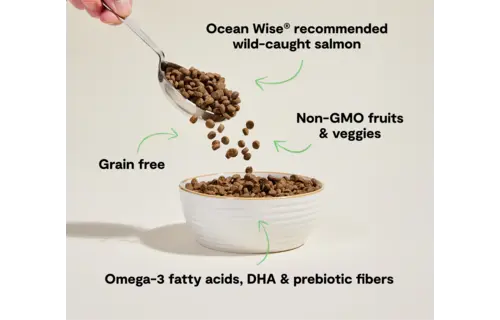 Open Farm Cat Wild Salmon 4 lb