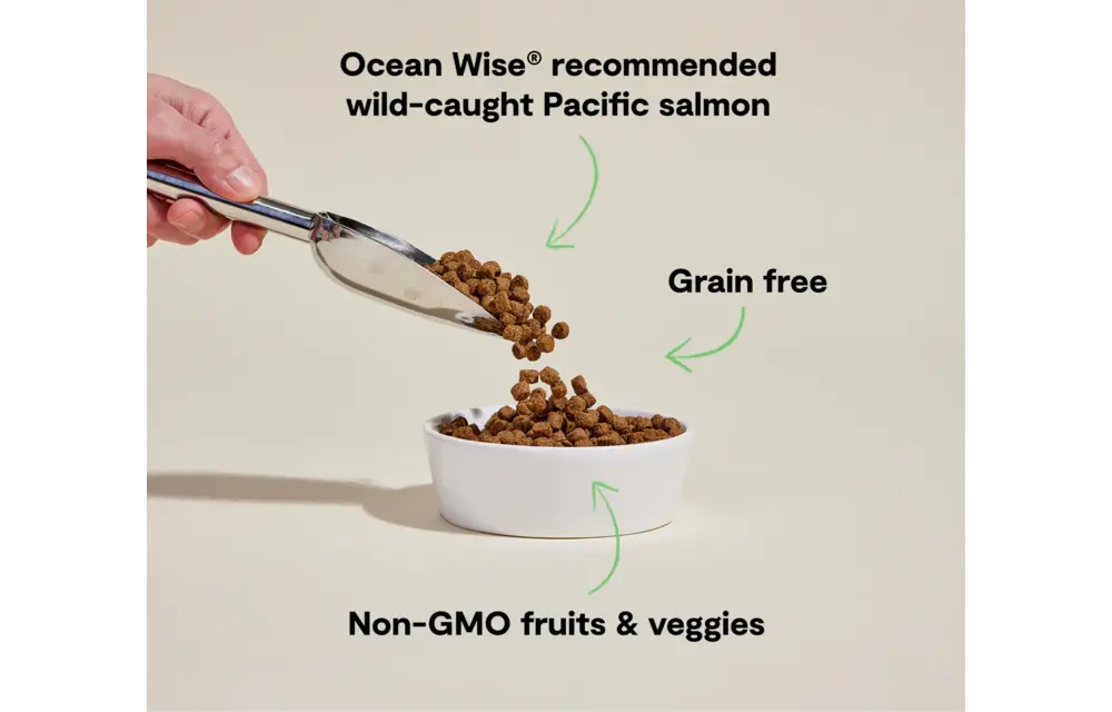 Open Farm Dog GF Wild Salmon 4 lbs