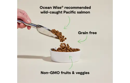 Open Farm Dog GF Wild Salmon 4 lbs