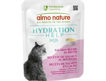 Almo Hydration Help Salmon Broth w/Salmon Fillet 50g