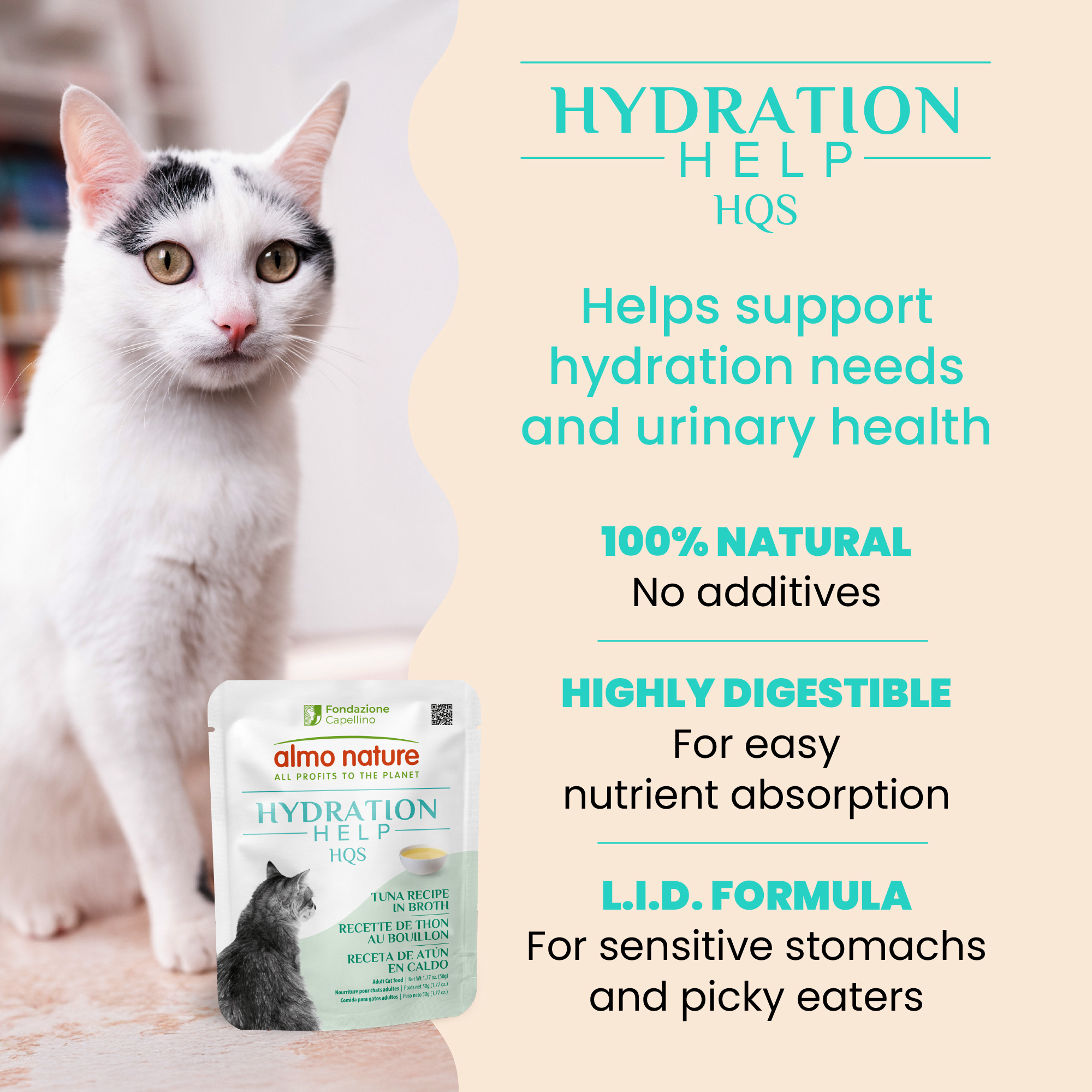 Almo Hydration Help Tuna Broth w/Tuna Fillet 50g