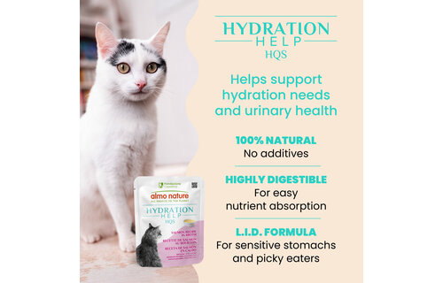 Almo Hydration Help Salmon Broth w/Salmon Fillet 50g