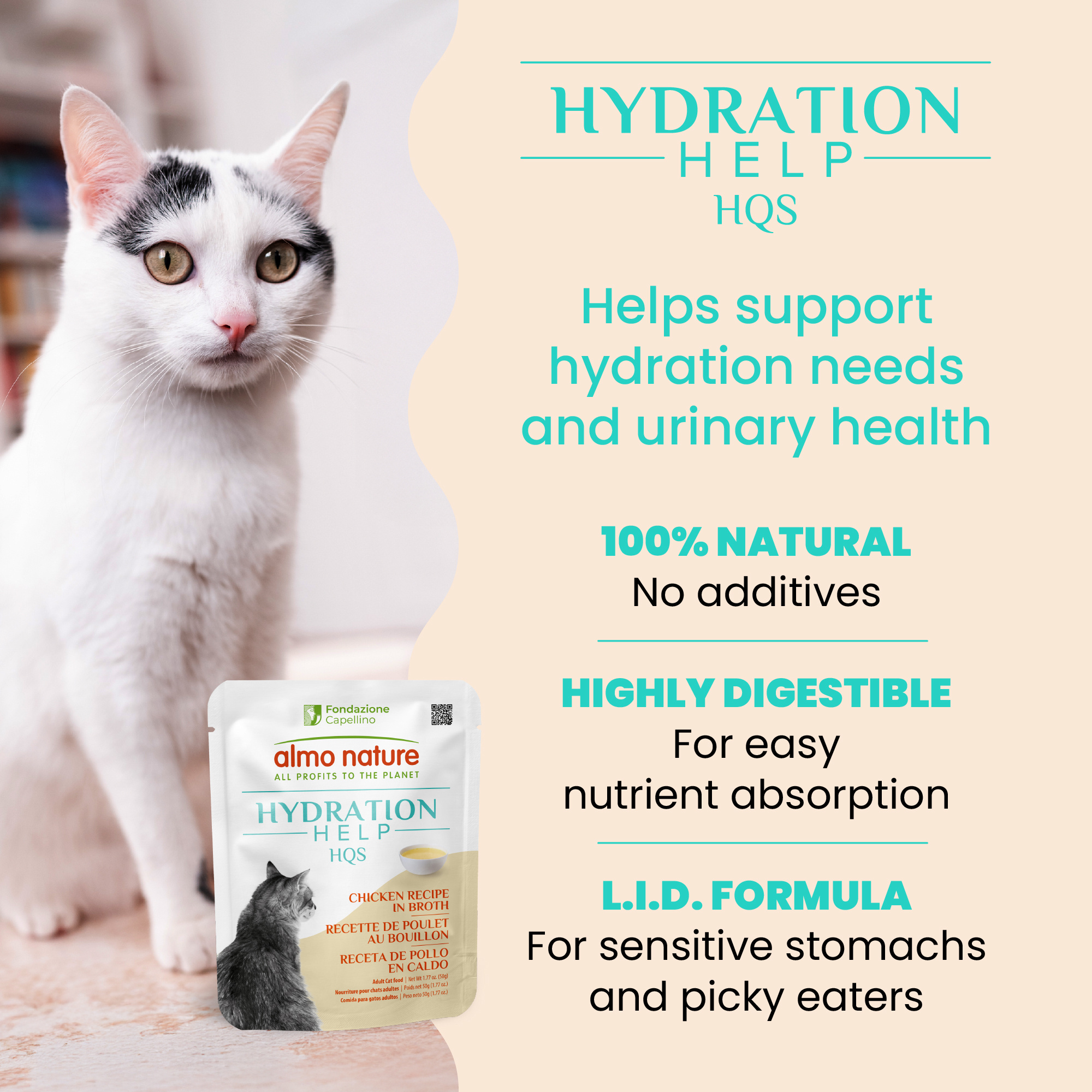 Almo Hydration Help Chicken Broth w/Chicken Fillet 50g)