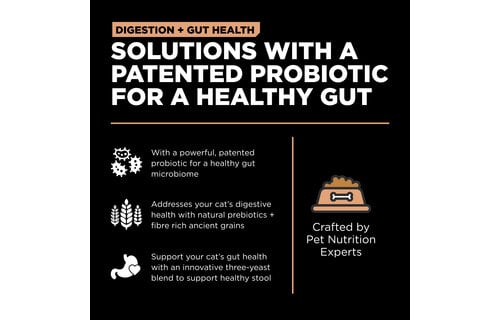 GO! Gut Health Salmon & Ancient Grain Cat 12lb
