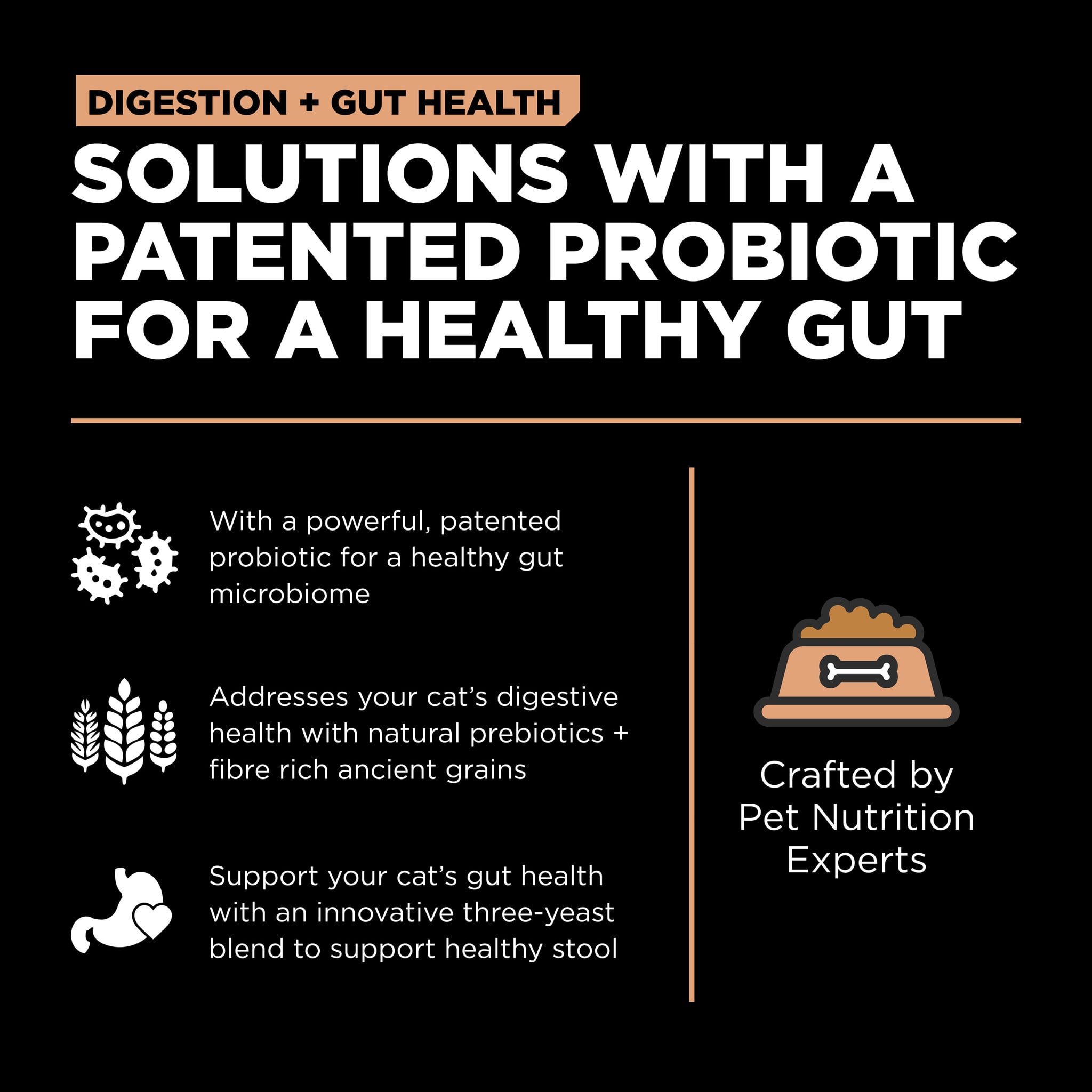 GO! Gut Health Salmon & Ancient Grain Cat 12lb