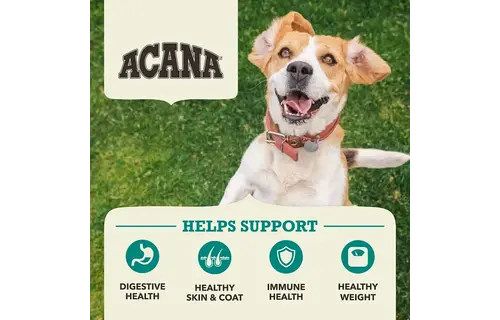 Acana Dog Coldwater Fish Recipe 2 kg