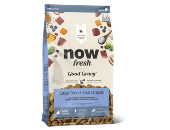*New*NOW Dog Good Gravy Beef w/Grains Large Breed 22lb