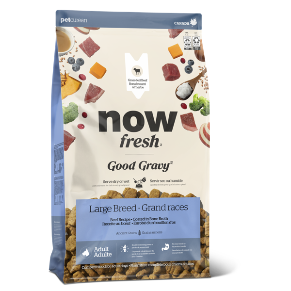 *New*NOW Dog Good Gravy Beef w/Grains Large Breed 22lb