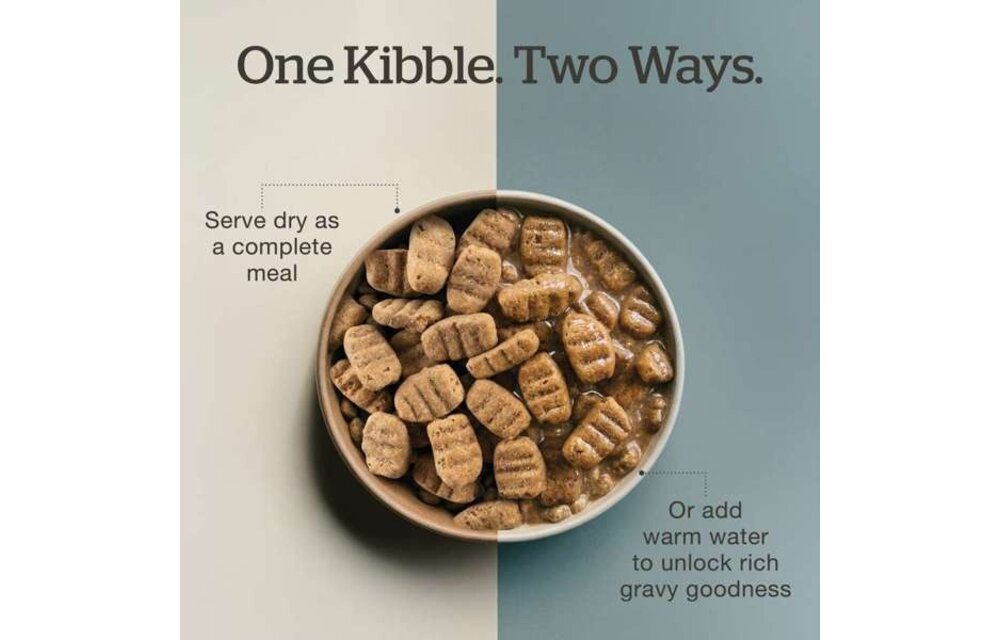 *New*NOW Dog Good Gravy Beef w/Grains Large Breed 22lb