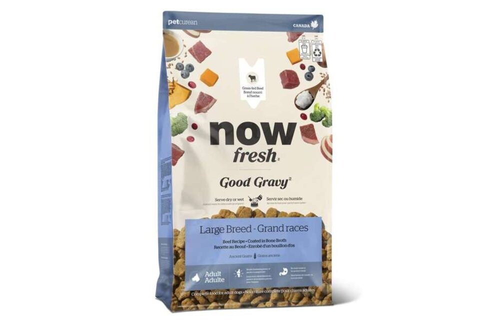 *New*NOW Dog Good Gravy Beef w/Grains Large Breed 12lb