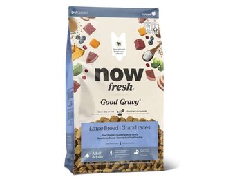 *New*NOW Dog Good Gravy Beef w/Grains Large Breed 12lb