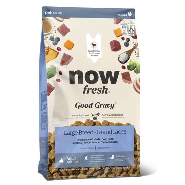 *New*NOW Dog Good Gravy Beef w/Grains Large Breed 12lb