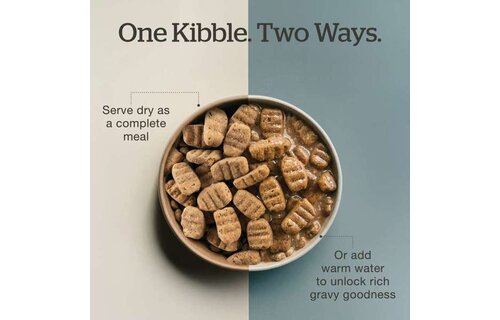 *New*NOW Dog Good Gravy Beef w/Grains Large Breed 12lb
