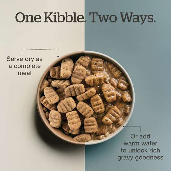 *New*NOW Dog Good Gravy Beef w/Grains Large Breed 12lb