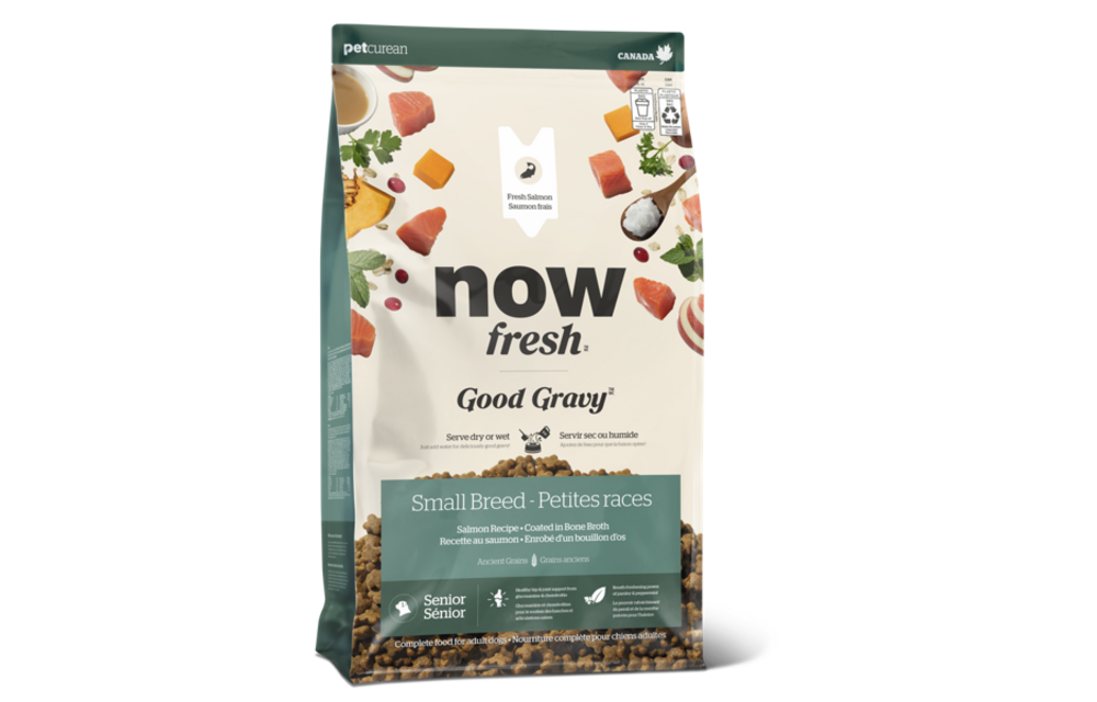 *New*NOW Dog Good Gravy Salmon w/Grains Small Breed Senior 12lb