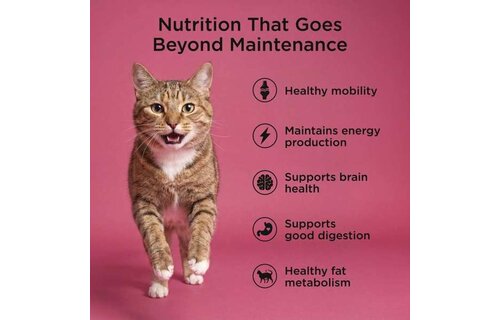 *New*Go! Cat Healthy Aging Grain Free Salmon & Duck 3lb