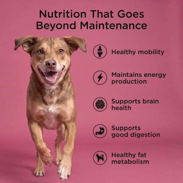 *New*Go! Dog Healthy Aging Salmon & Duck w/Grains 3.5lb