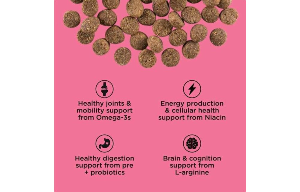 *New*Go! Dog Healthy Aging Salmon & Duck w/Grains 3.5lb