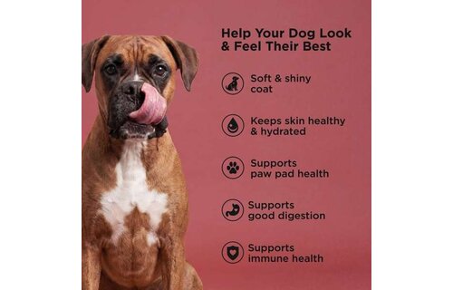 *New*Go! Dog Skin & Coat Beef w/Grains 22lb