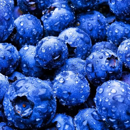 Blueberry Candy