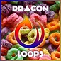 Dragon Loops