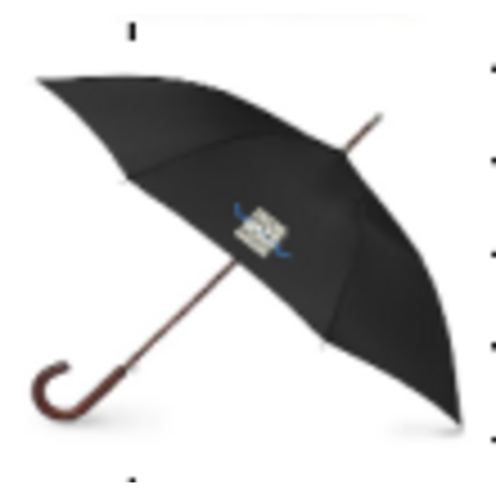 ACFJ0038 PARAPLUIE FIJM 2025 LOGO CARRÉ ET TROMPETTE