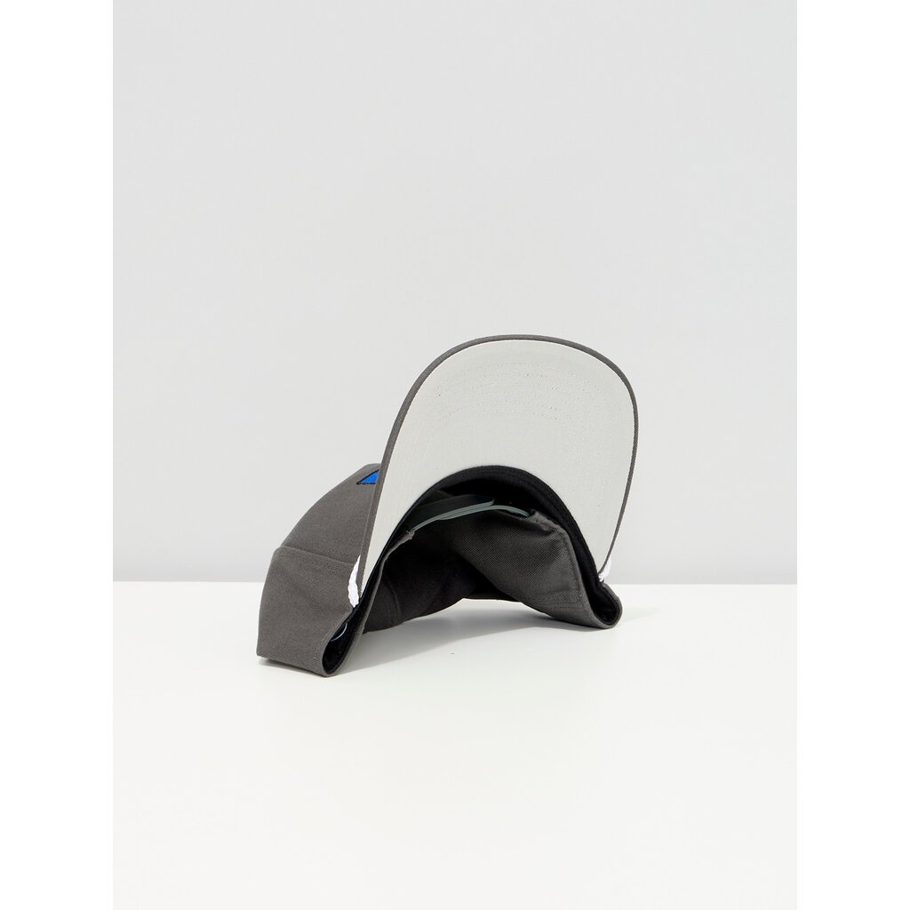 Casquette grise Yeux du chat - Chien Champion 2025