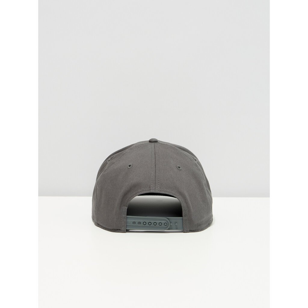 Casquette grise Yeux du chat - Chien Champion 2025