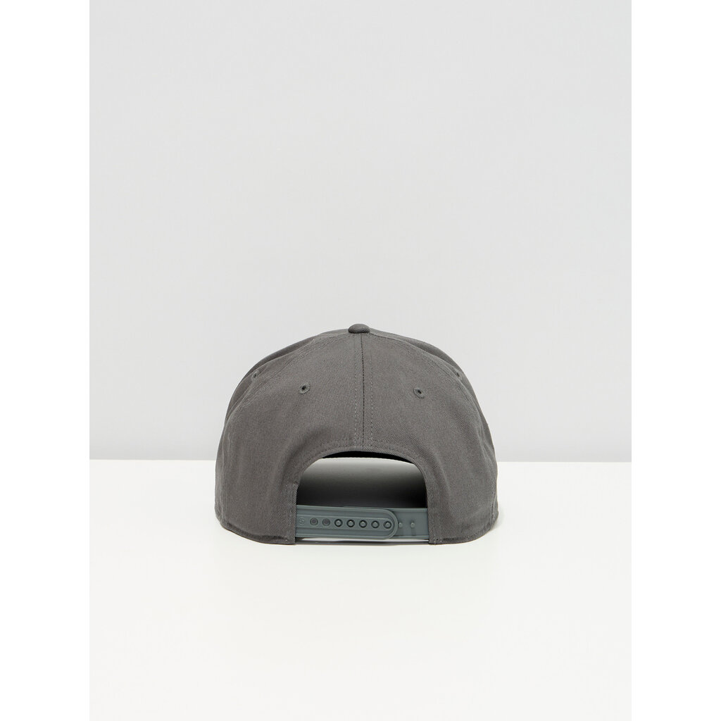 Grey Cap Cat Eyes - Chien Champion 2025