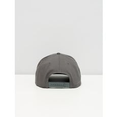 Casquette grise Yeux du chat - Chien Champion 2025