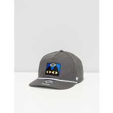 Grey Cap Cat Eyes - Chien Champion 2025