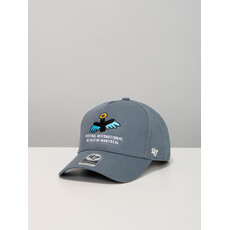 Casquette grise mini Sainte-Cat - Design Chien Champion 2026