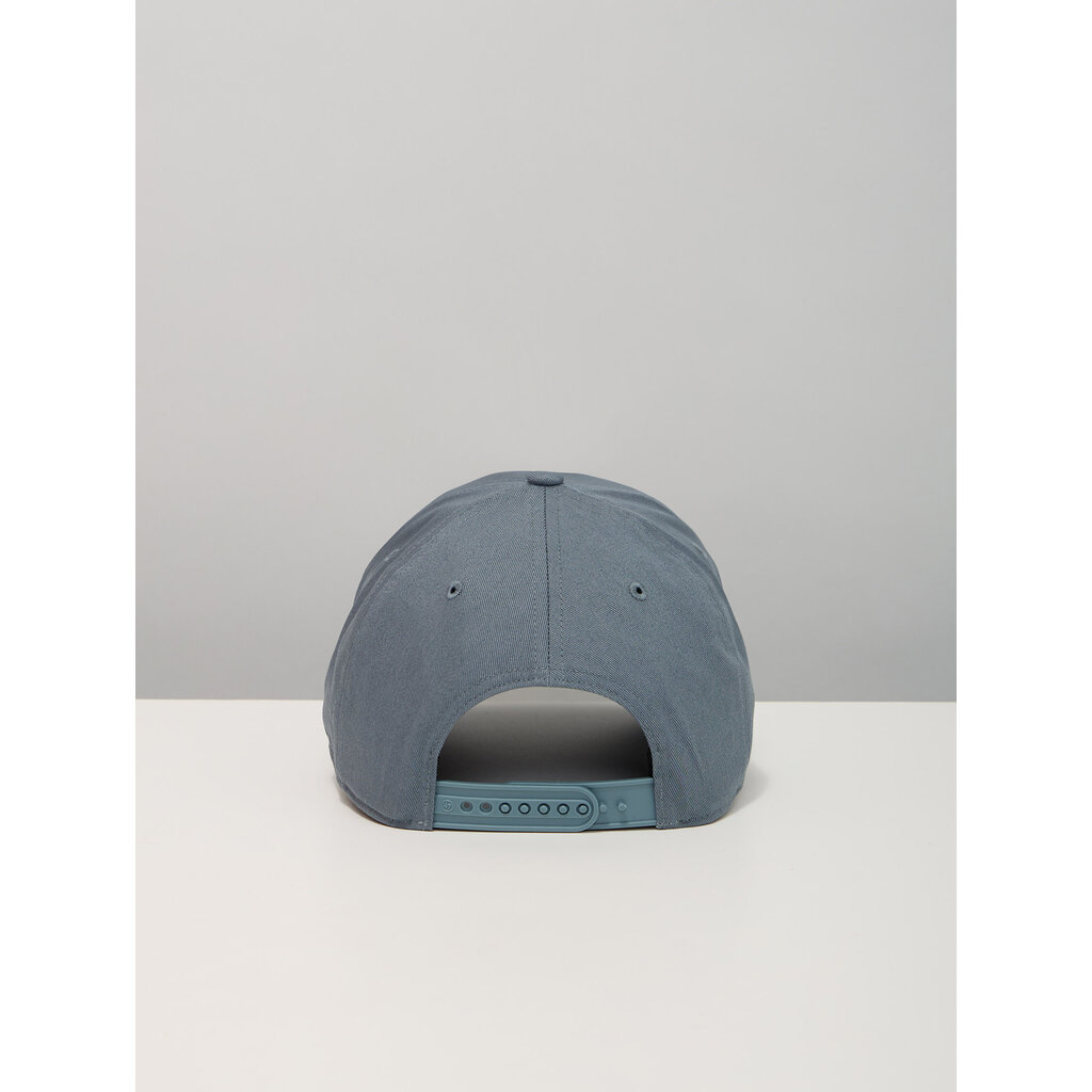 Casquette grise mini Sainte-Cat - Design Chien Champion 2026