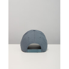 Casquette grise mini Sainte-Cat - Design Chien Champion 2026