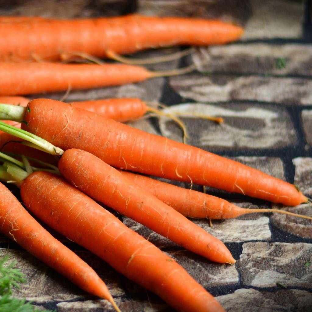 Carrot Seed Essential Oil