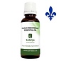 Spruce Essential Oil (Hemlock)