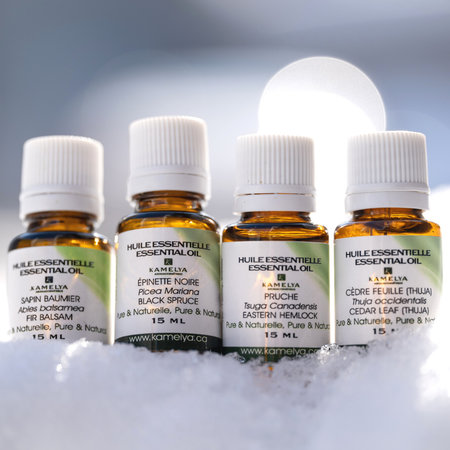 4 Quebec Forest Essential Oils