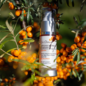 Sea Buckthorn Seed Oil