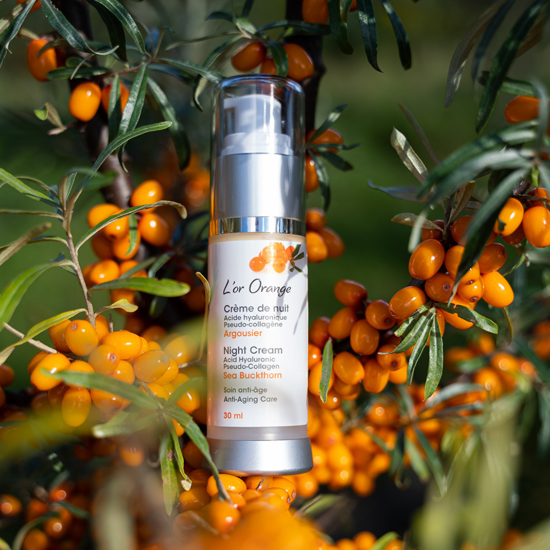 Sea Buckthorn Night Cream