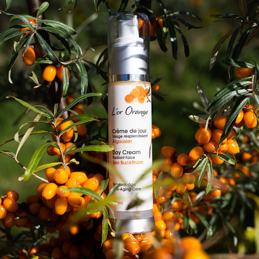 Sea Buckthorn Day Cream