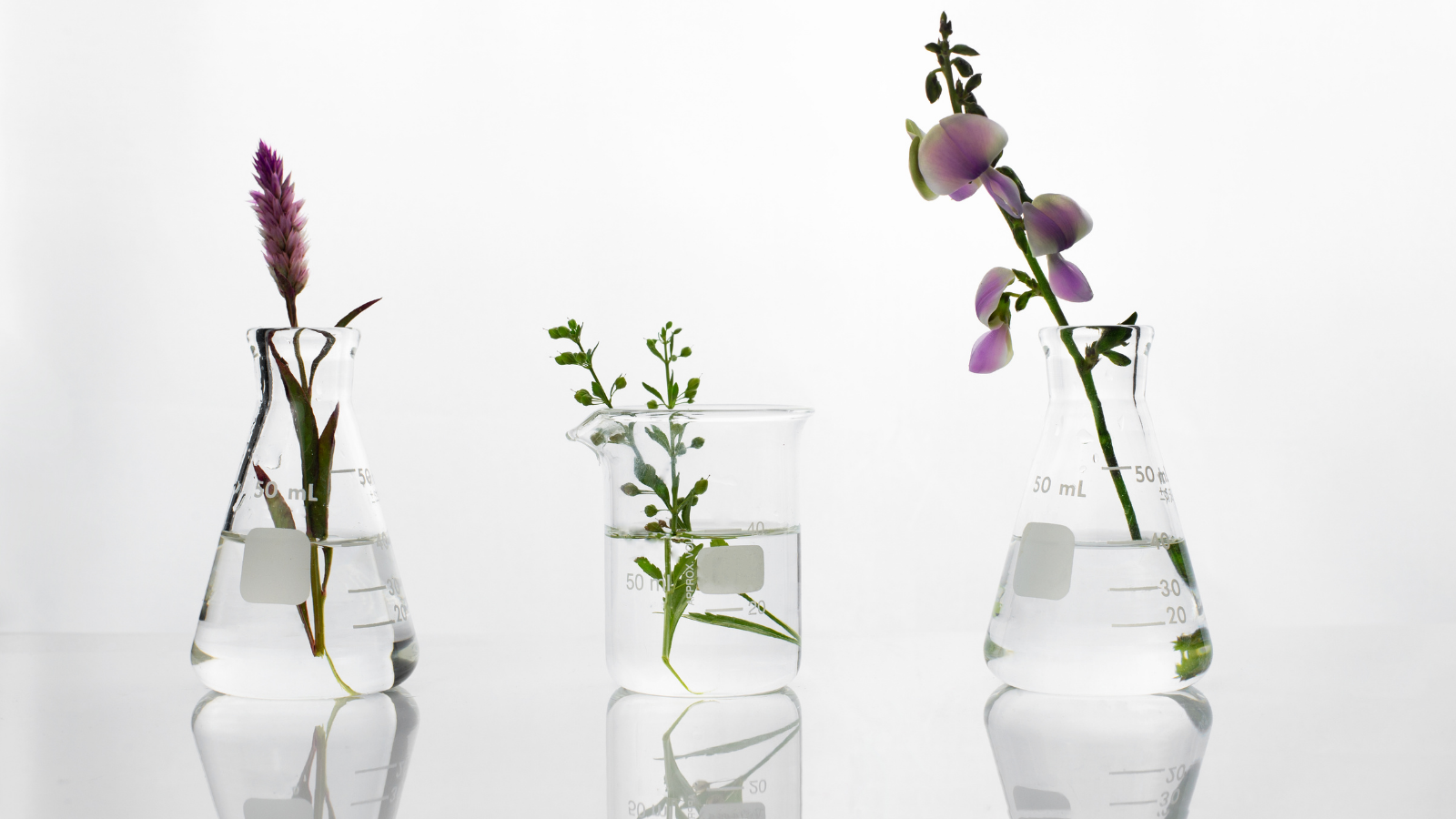Découvrez notre système de conservation 100 % naturel qui garantit une sécurité maximale de vos produits.