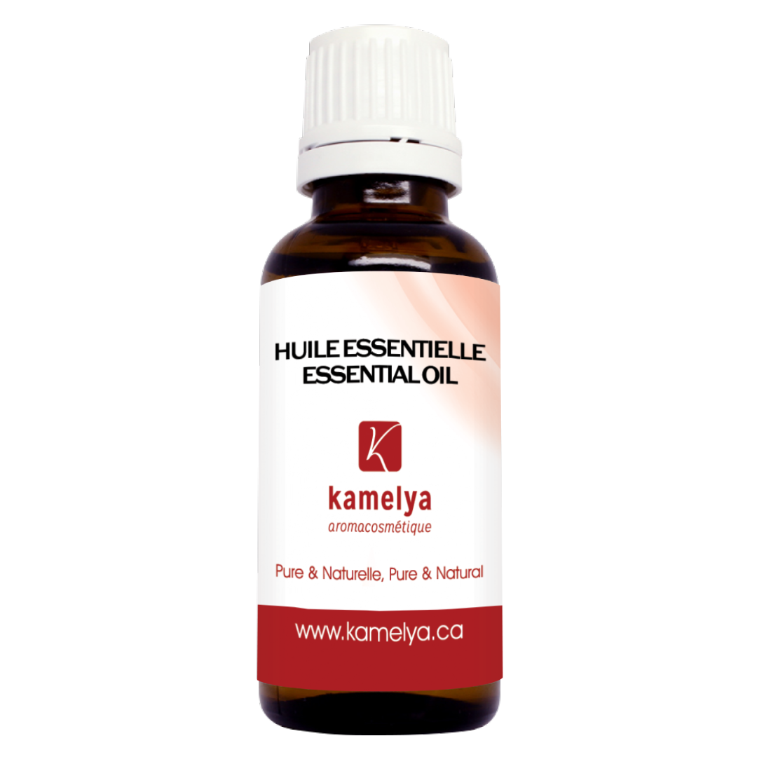 Huile essentielle de Gaultherie couchée - 10 ml