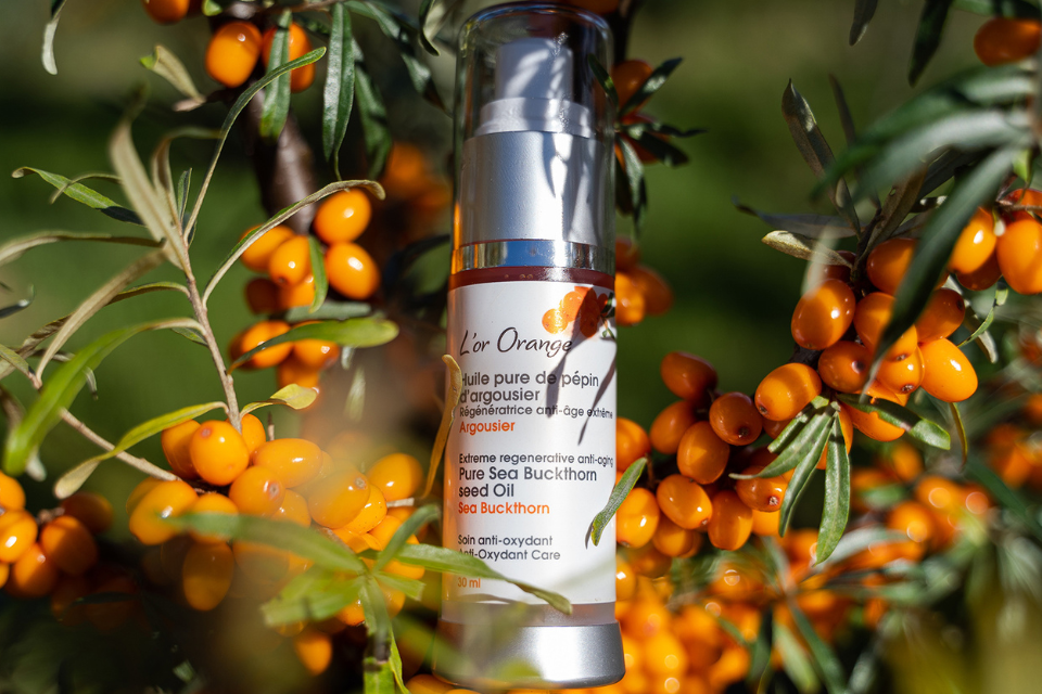 Argousier après-soleil : un soin naturel québécois pour apaiser et régénérer la peau