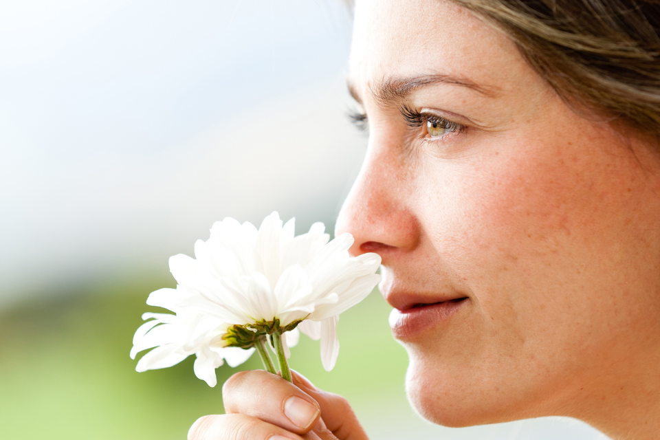 Découvrez l'aromachologie : le pouvoir des odeurs expliqué !