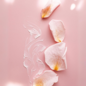 Rose Petals Body Cream