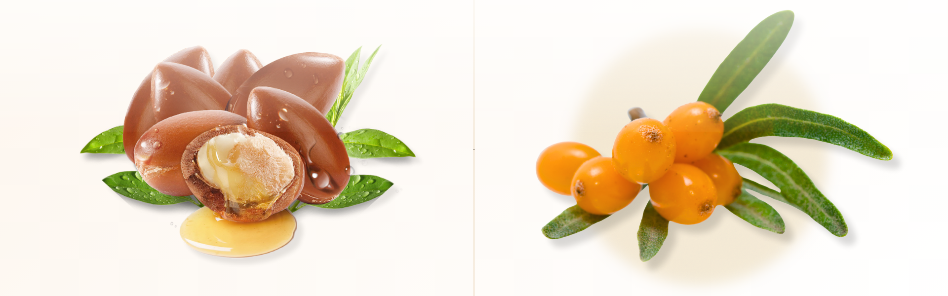 Huile d’argan ou huile d’argousier pour le visage : laquelle choisir ?